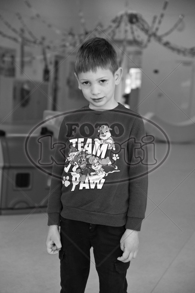 04 Pčelice 231 - FotoKurti