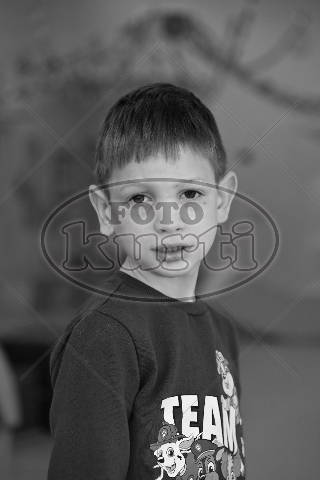 04 Pčelice 241 - FotoKurti
