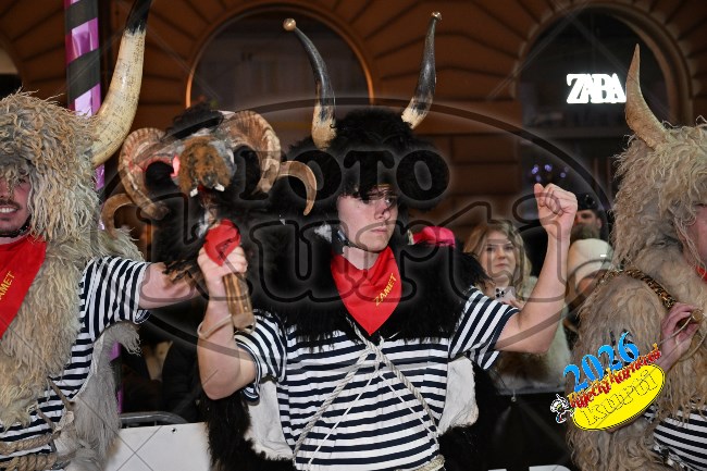 098 Zametski zvončari 298 - FotoKurti